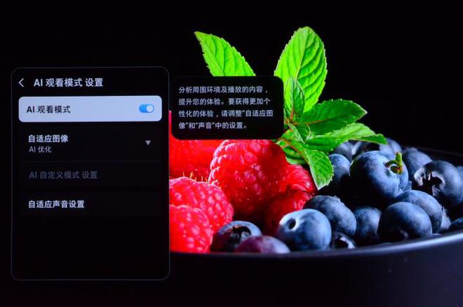 5F评测：让家中大屏成为我们的智慧伙伴AG真人国际游戏三星OLED电视S9(图6)